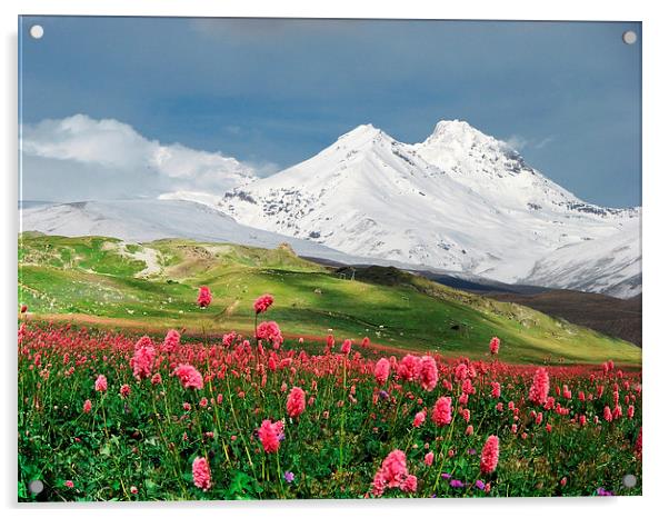 Switzerland mountains on spring time Acrylic by Daniel Kesh
