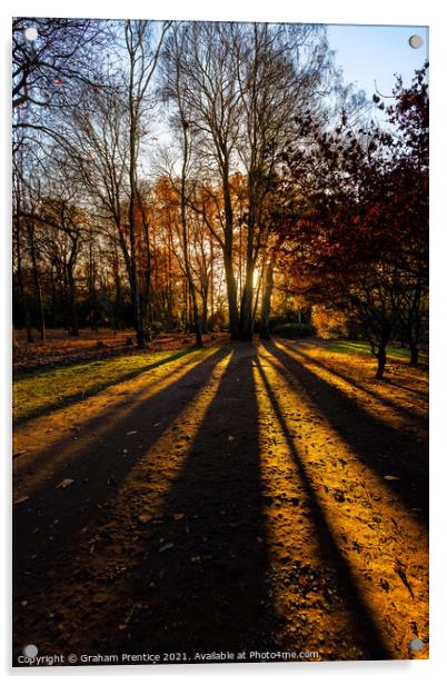 Setting Sun Through Trees Acrylic by Graham Prentice