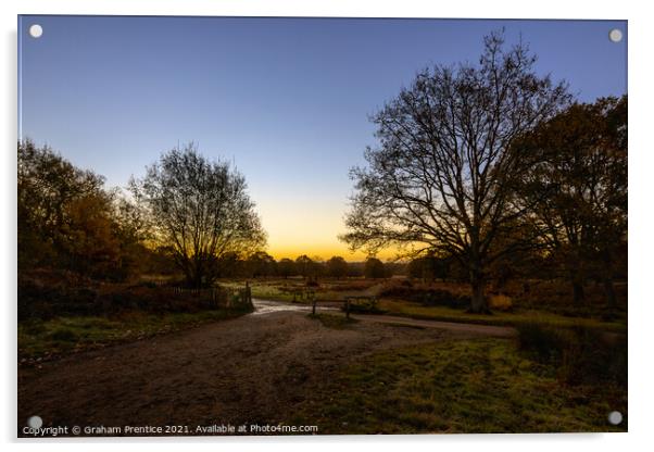 Richmond Park Sunrise Acrylic by Graham Prentice
