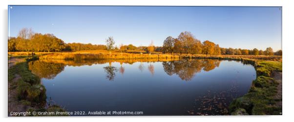 Leg of Mutton Pond in Richmond Park Acrylic by Graham Prentice