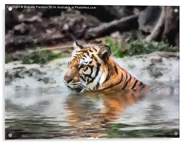 Tiger Acrylic by Graham Prentice