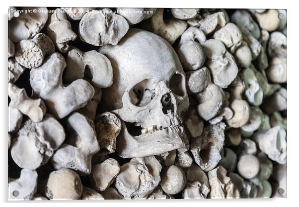 Skull Acrylic by Graham Prentice