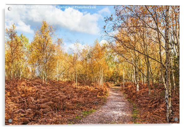 Autumn Path Acrylic by Graham Prentice