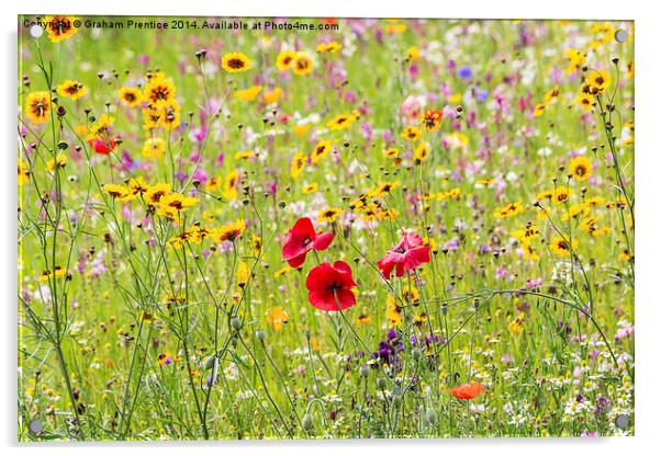 Summer Meadow Flowers Acrylic by Graham Prentice