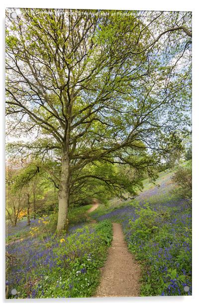 Springtime Walk Acrylic by Graham Prentice