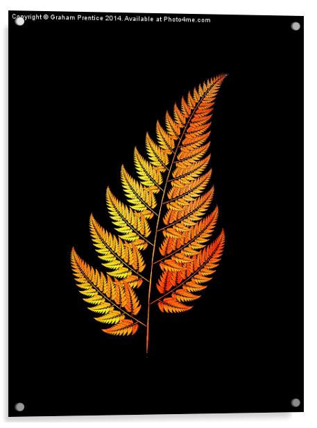  Golden Fern Acrylic by Graham Prentice