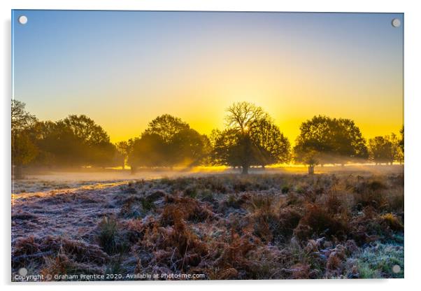 Richmond Park at dawn Acrylic by Graham Prentice