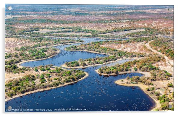 Flooded channels in the Okavango Delta Acrylic by Graham Prentice