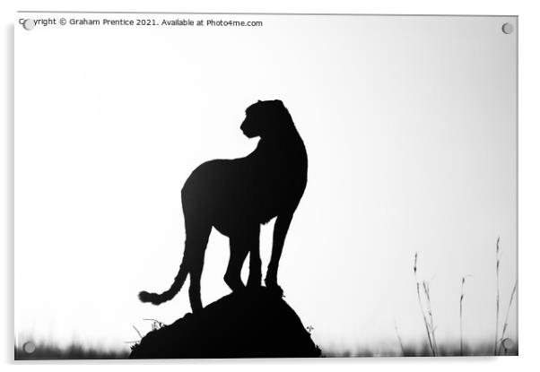Cheetah Silhouette Acrylic by Graham Prentice