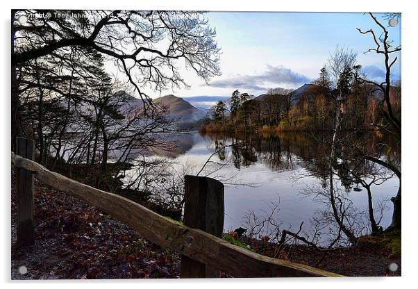  Catbells from Derwentwater Acrylic by Tony Johnson