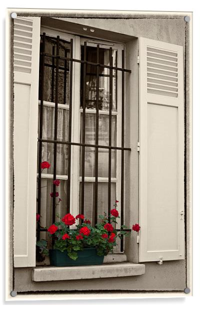 Paris window box Acrylic by Sheila Smart