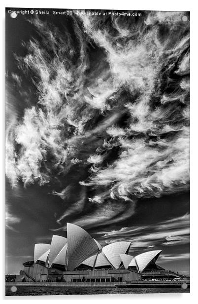 Sydney Opera House in monochrome Acrylic by Sheila Smart