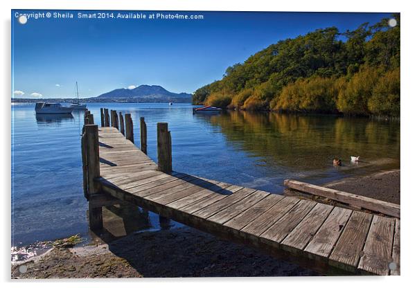 Acacia Bay, North Island, New Zealand Acrylic by Sheila Smart