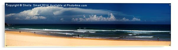 Manly Beach panorama Acrylic by Sheila Smart