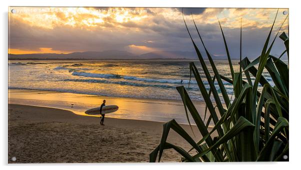  Byron Bay surfer Acrylic by Sheila Smart