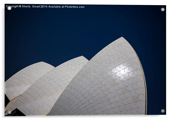  Sails of Sydney Opera House Acrylic by Sheila Smart