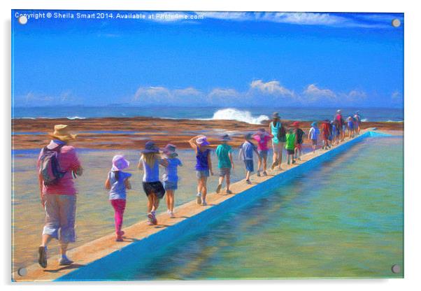  A day off school at the rockpool Acrylic by Sheila Smart