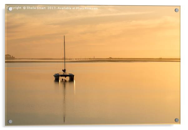 Yacht at sunset, Nelson Acrylic by Sheila Smart