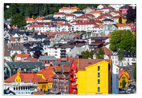 Bergen hillside Acrylic by Sheila Smart