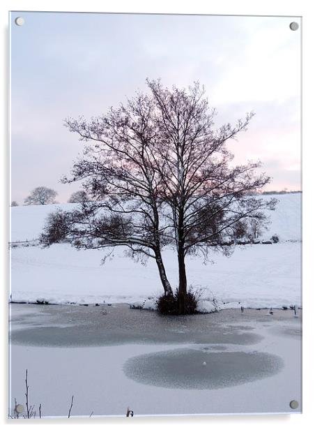 Snowy Canalside Landscape Acrylic by Liz Watson