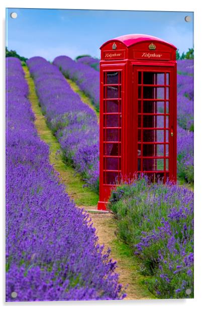 The Surreal Telephone Box Acrylic by LensLight Traveler