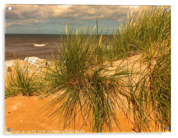 Grassy Sand Dunes Acrylic by Lisa PB