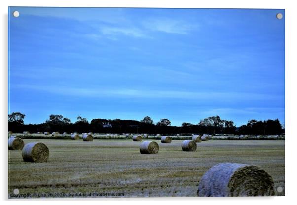 Hay Season Acrylic by Lisa PB