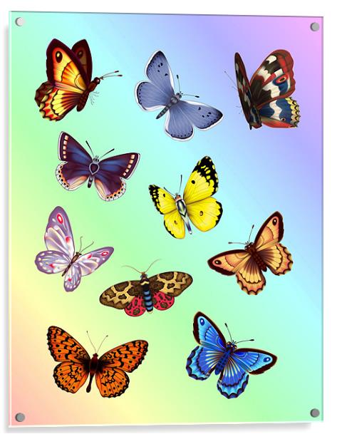Bright Butterflies Acrylic by Lidiya Drabchuk