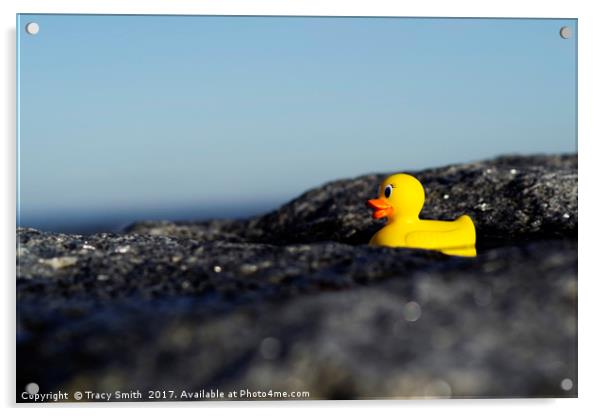 Rubber Duck by the Sea Acrylic by Tracy Smith