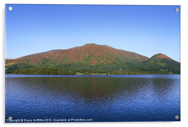 Skiddaw in the Evening, The Lake District Acrylic by Diane Griffiths