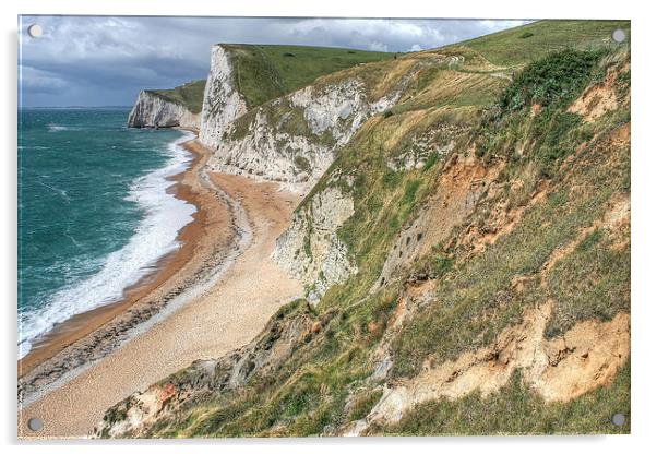 Durdle Door Beach Acrylic by Diane Griffiths