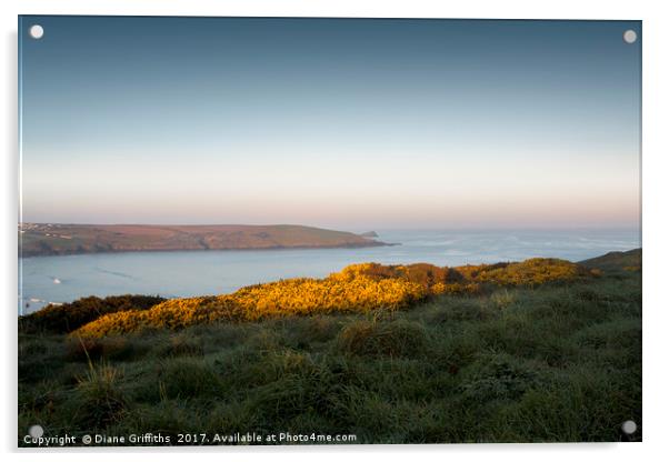 Pentire Headland Sunrise Acrylic by Diane Griffiths
