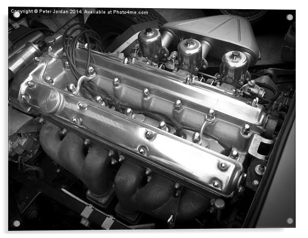  E-Type Jaguar Sports Car Engine Acrylic by Peter Jordan