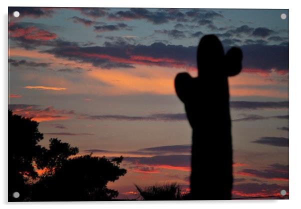 sunset in  phoenix Acrylic by Pete Schulte