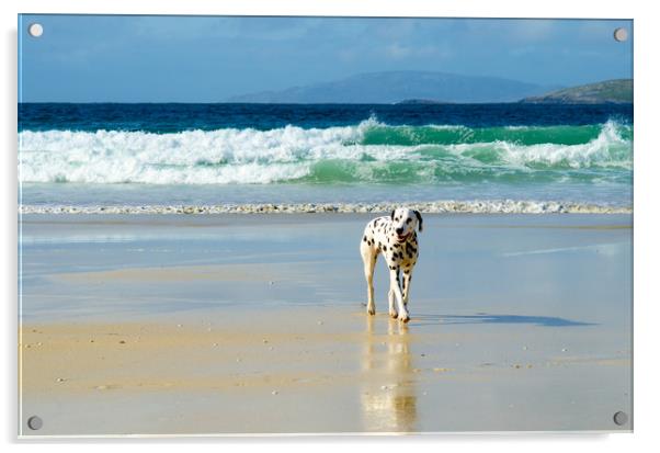 Dalmation coast! Acrylic by Fiona McRae