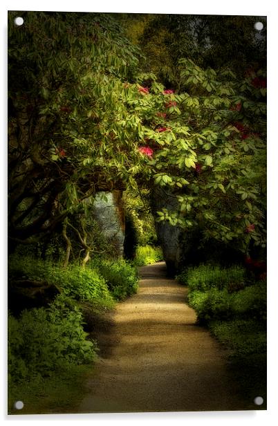 Enchanted Garden Path Acrylic by Robert Murray