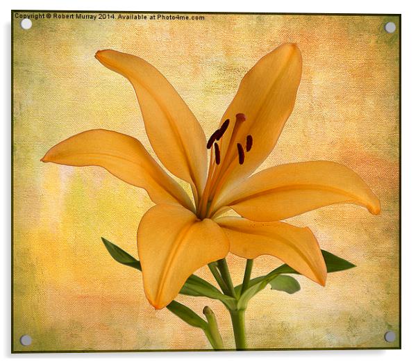  Lily Acrylic by Robert Murray