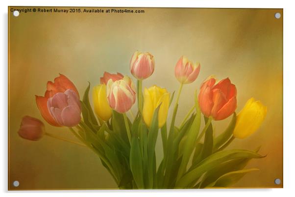  The Joy of Tulips Acrylic by Robert Murray