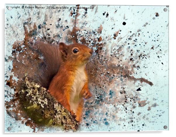 Red Squirrel in Danger Acrylic by Robert Murray