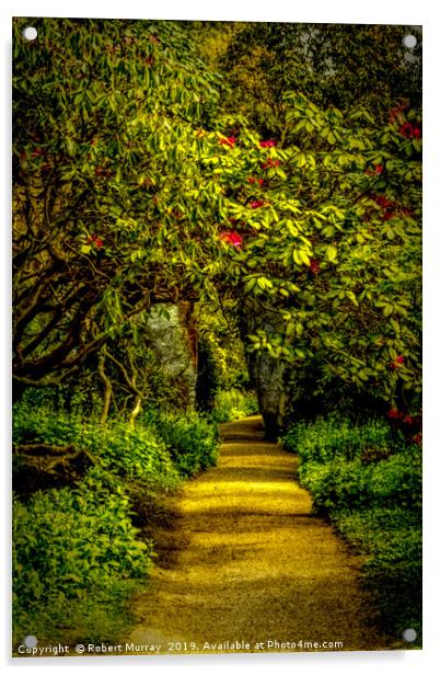 Sun-dappled Rhododendron Path Acrylic by Robert Murray
