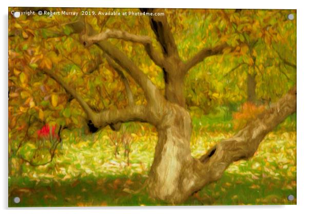Gnarled Tree in Autumn Acrylic by Robert Murray