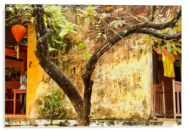 Tree bark and painted wall textures Acrylic by Robert Murray