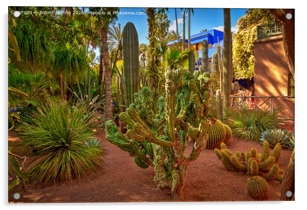 Cacti Garden, Marrakesh. Acrylic by Robert Murray