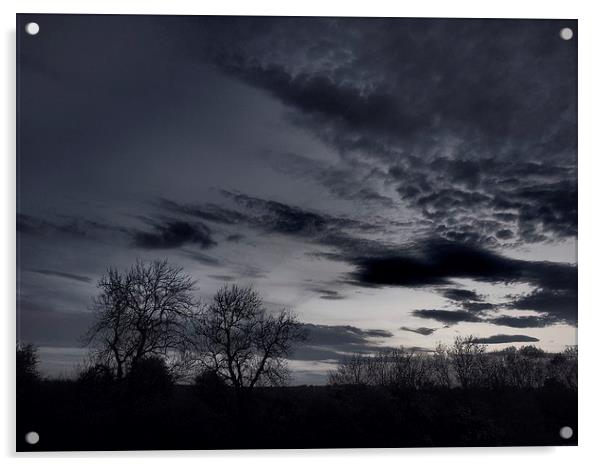 Moody Sky Acrylic by Daniel Drynan