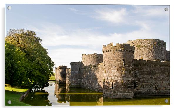  Beaumaris Castle, Anglesey Acrylic by Andy Heap