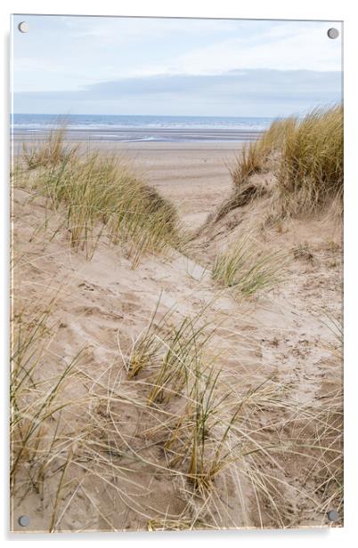 Marram grass on the dunes at Formby Acrylic by Jason Wells