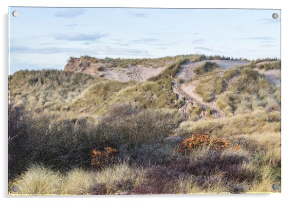 Foot prints seen up the steep sides of sand dunes Acrylic by Jason Wells