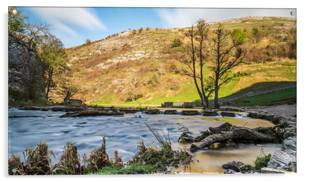 Dovedale stepping stones Acrylic by Jason Wells