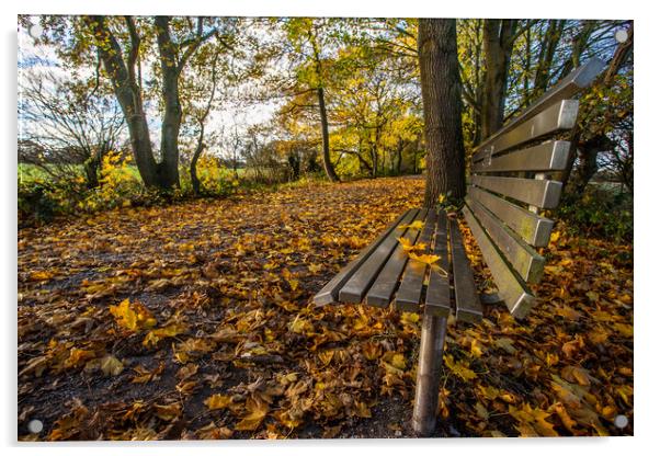 Silver bench on the golden leaves Acrylic by Jason Wells
