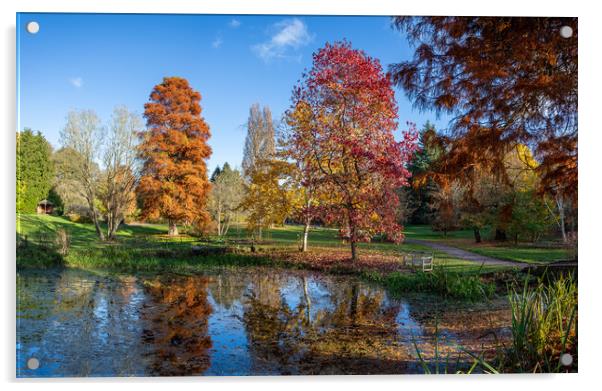 Ness Botanic Gardens panorama Acrylic by Jason Wells